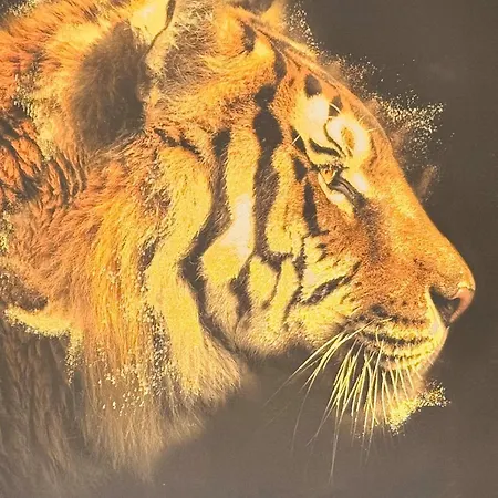 Le Boulouris - Stylish T2 Lejlighed Saint-Raphaël