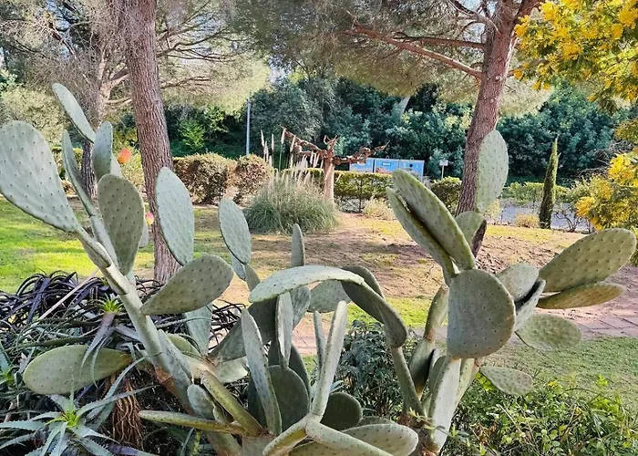 Le Boulouris - Stylish T2