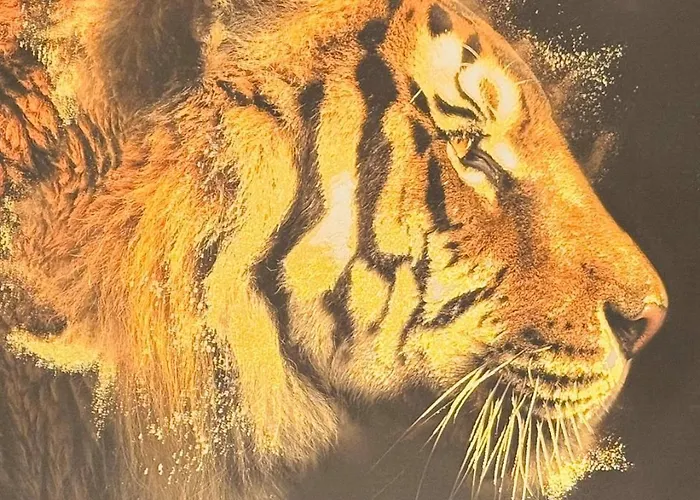 Le Boulouris - Stylish T2 Apartamento Saint-Raphaël